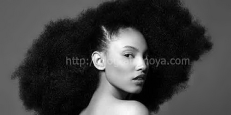 Cheveux afro naturel