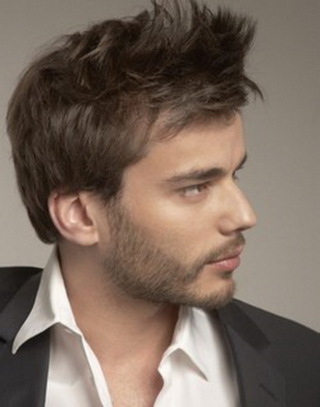 Coupe pour cheveux fins homme