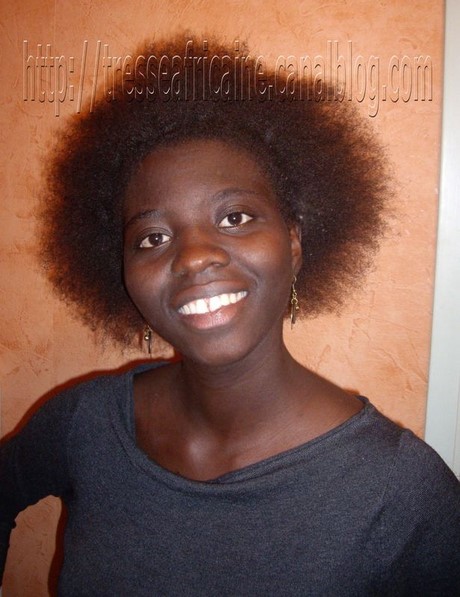 Coiffure avec des meches africaine