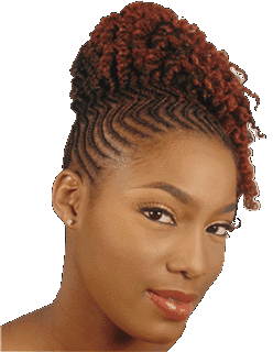 Idée coiffure tresse afro