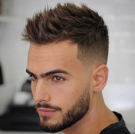 La coupe de cheveux 2019 homme