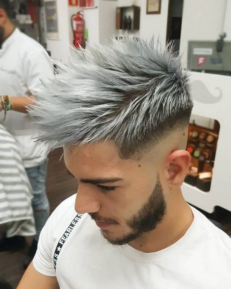 Cheveux gris homme court