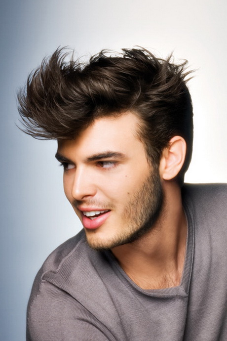 Coupe de cheveux homme meche