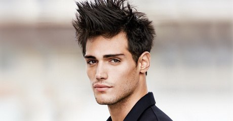 Coupe homme 2014