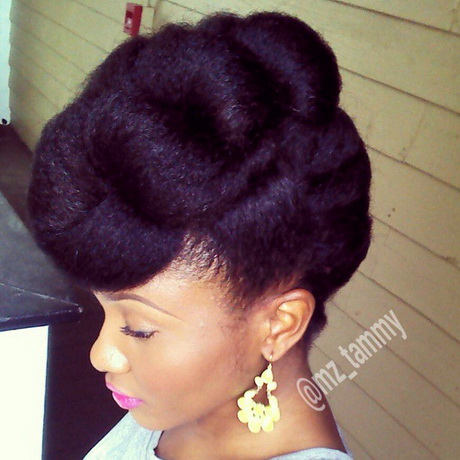 Coiffures cheveux afro