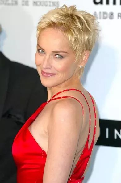 Coupe cheveux sharon stone 2023