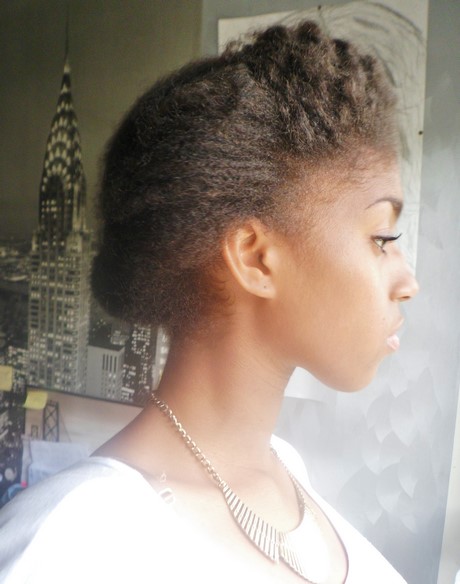 Coiffure cheveux afro naturel