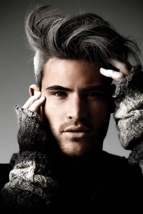 Cheveux gris homme jeune