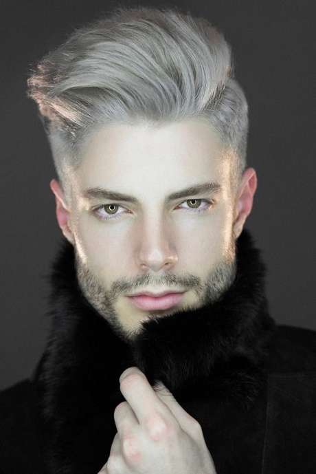 Cheveux gris homme jeune