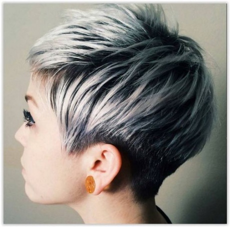 Coiffure cheveux gris