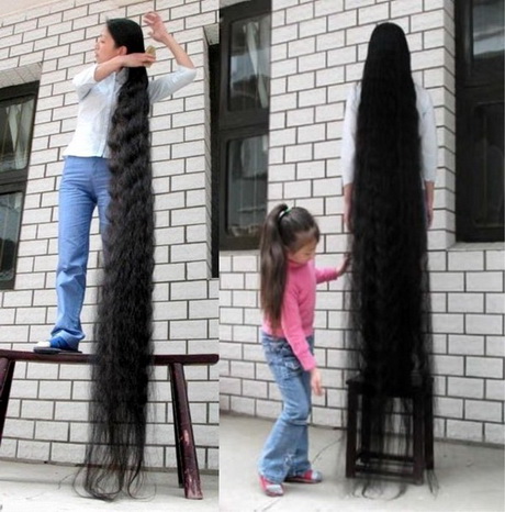 Les plus long cheveux du monde