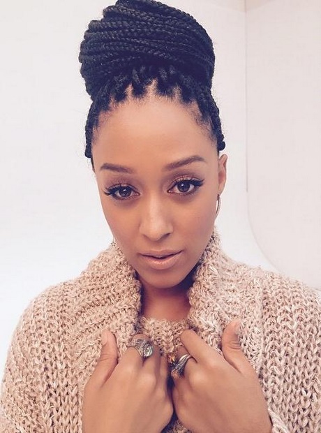 Grosse meche africaine