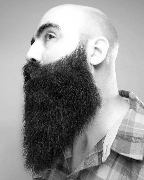 Dégradé barbe courte