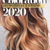 Couleurs de cheveux 2020